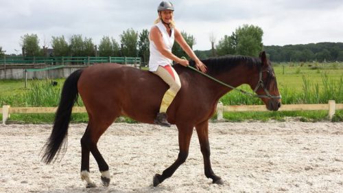 Marja-met-paard-biografie